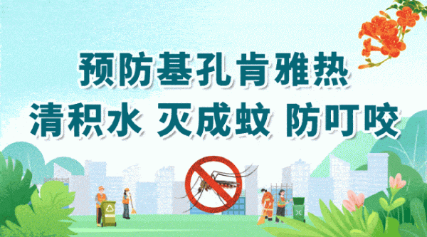 顶级配资 返程攻略更新！四会10月8日易堵路段+防蚊要点，早看早安心→