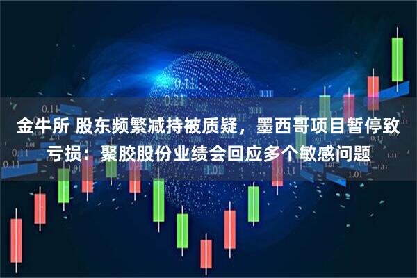 金牛所 股东频繁减持被质疑，墨西哥项目暂停致亏损：聚胶股份业绩会回应多个敏感问题